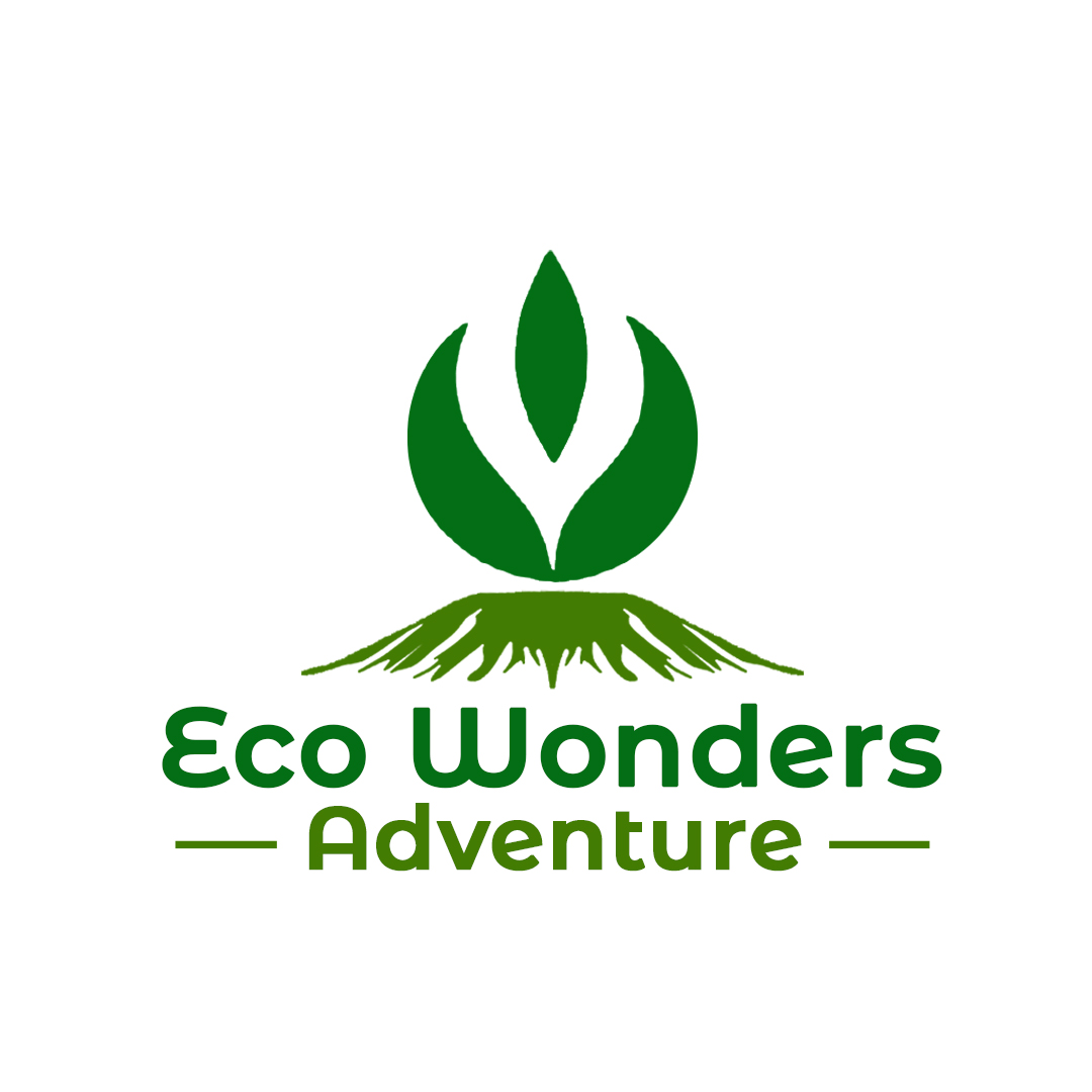 Eco Wonders Adventure LogoArtboard 1.jpg