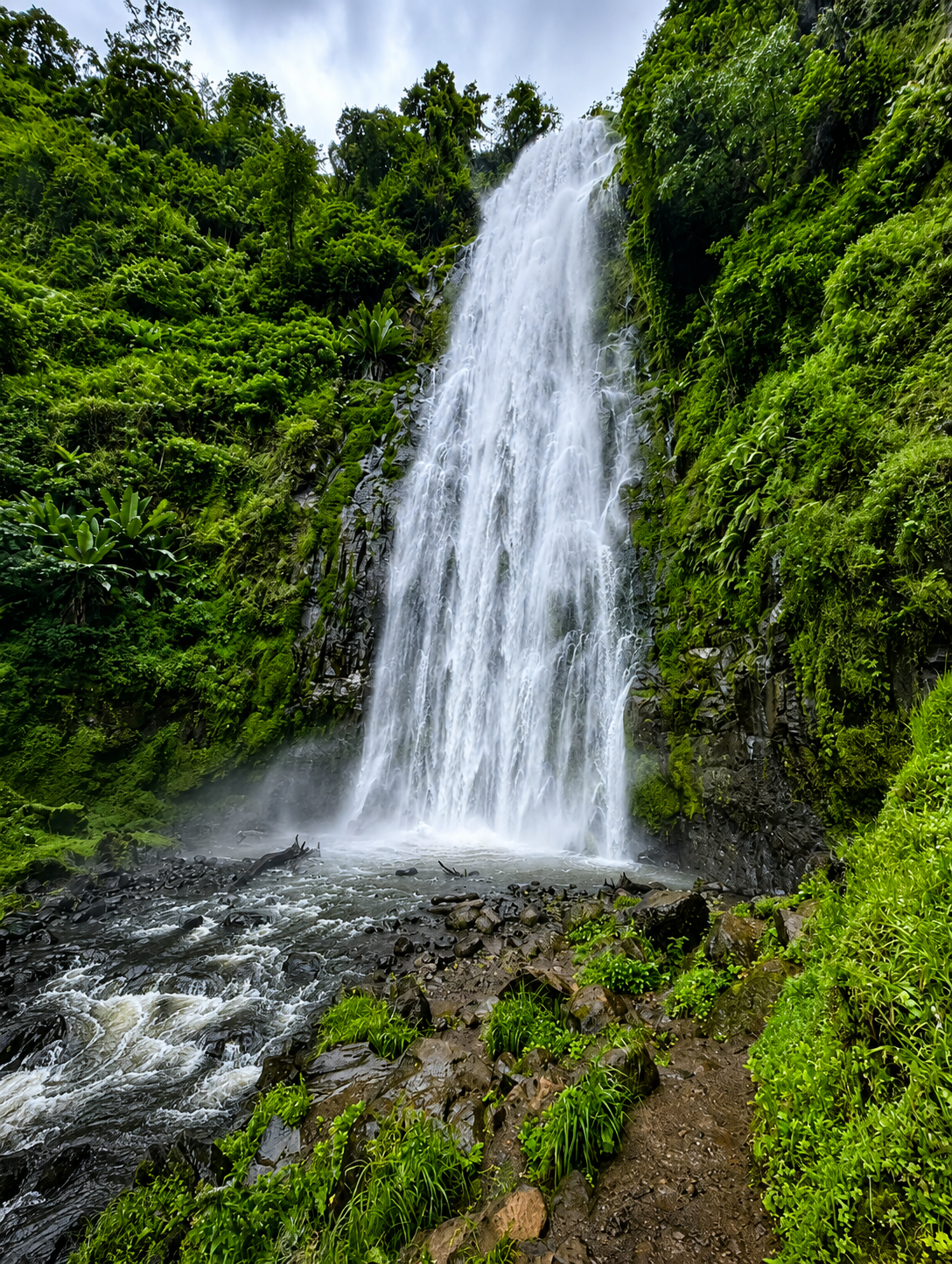 Kikuletwa Hot Springs