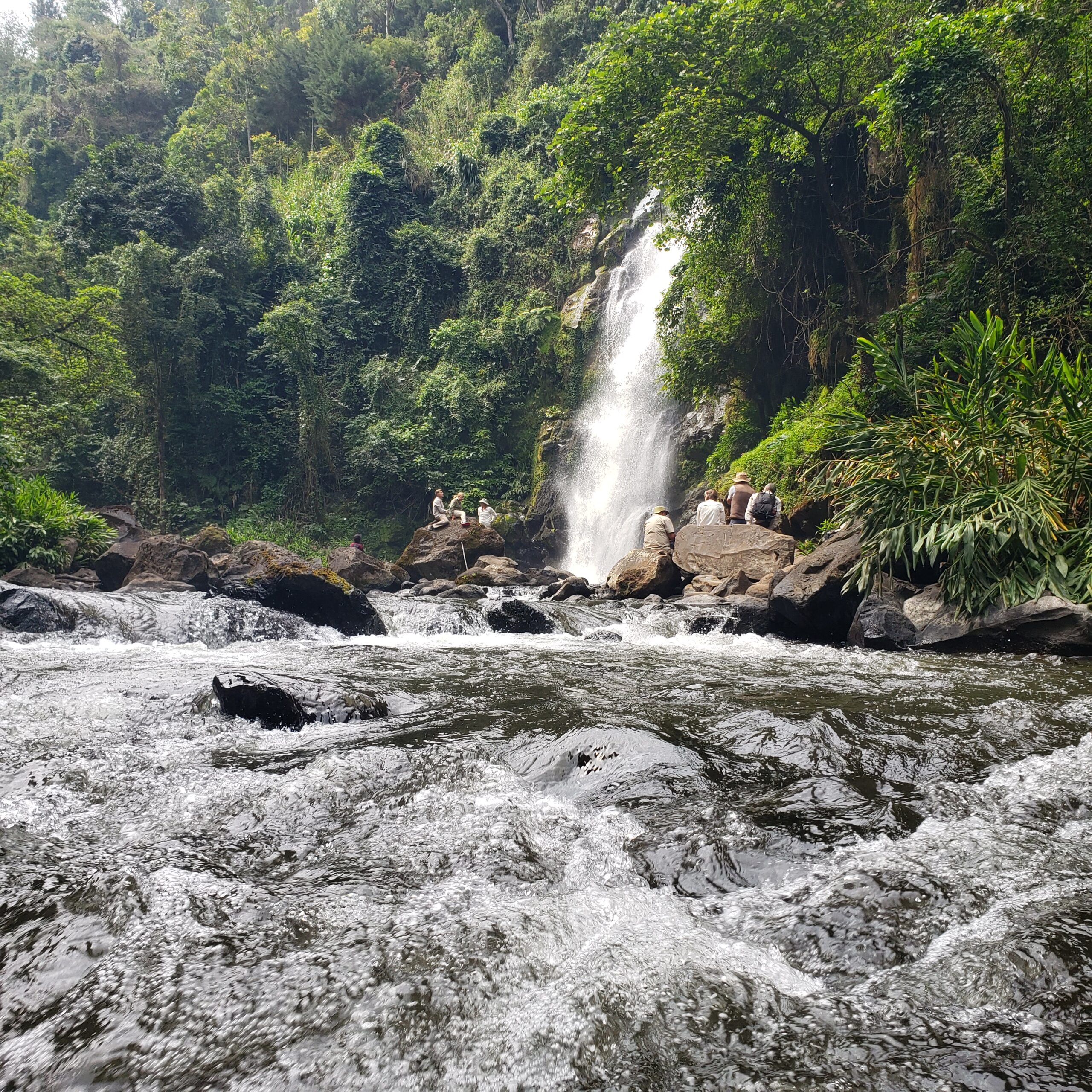 Kikuletwa Hot Springs