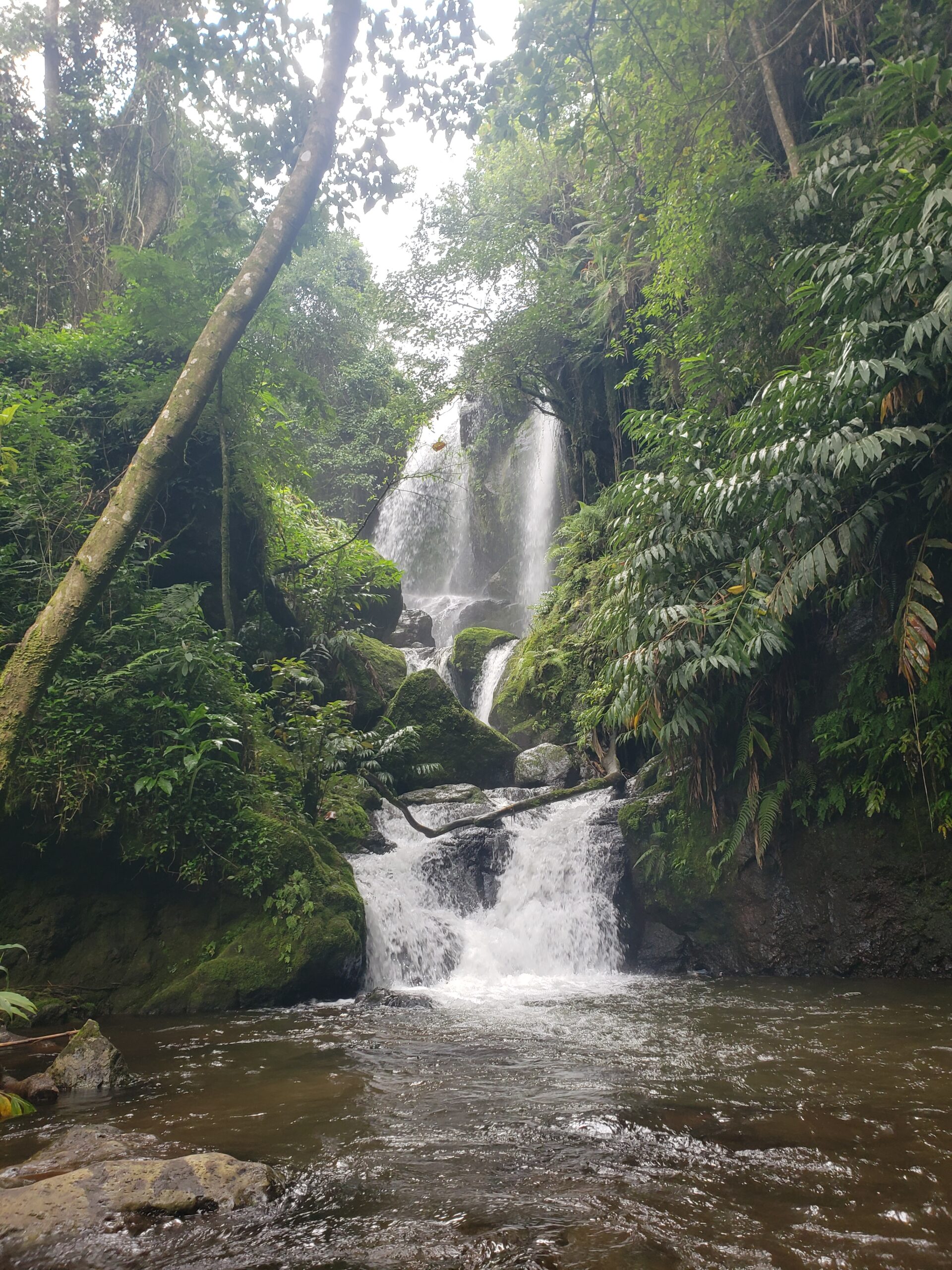 Kikuletwa Hot Springs